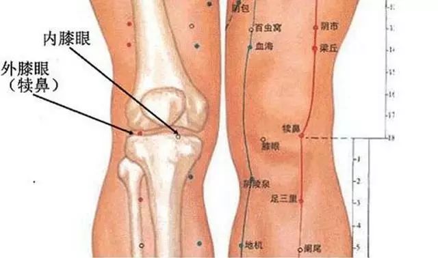 澳门一肖一码100%准确?仔细释义、解释与落实、全面解答解释落实